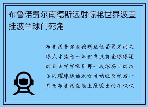 布鲁诺费尔南德斯远射惊艳世界波直挂波兰球门死角