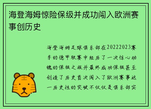 海登海姆惊险保级并成功闯入欧洲赛事创历史 海登海姆惊险保级并成功闯入欧洲赛事创历史