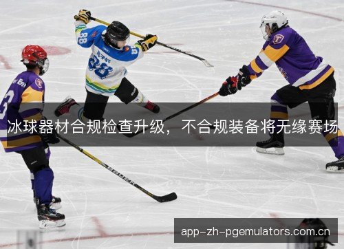 冰球器材合规检查升级，不合规装备将无缘赛场